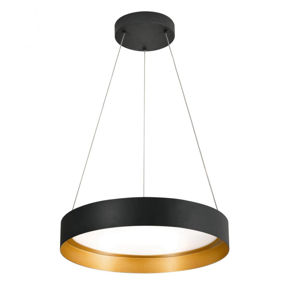 Reveal 20" LED Pendant