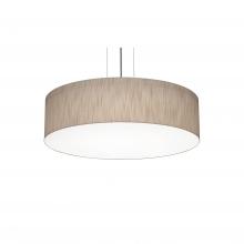 AFX Lighting, Inc. ANP1932MBBK-JT - Anton 19'' Med Base Pendant - BK and JT