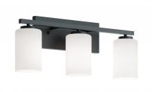 AFX Lighting, Inc. LEOV2209MBBK - Leo 22'' Med Base Vanity,120V,BK