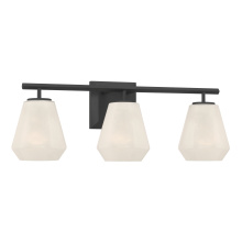 Minka-Lavery 14373-899 - Siena 22.75" 3-Light Vanity