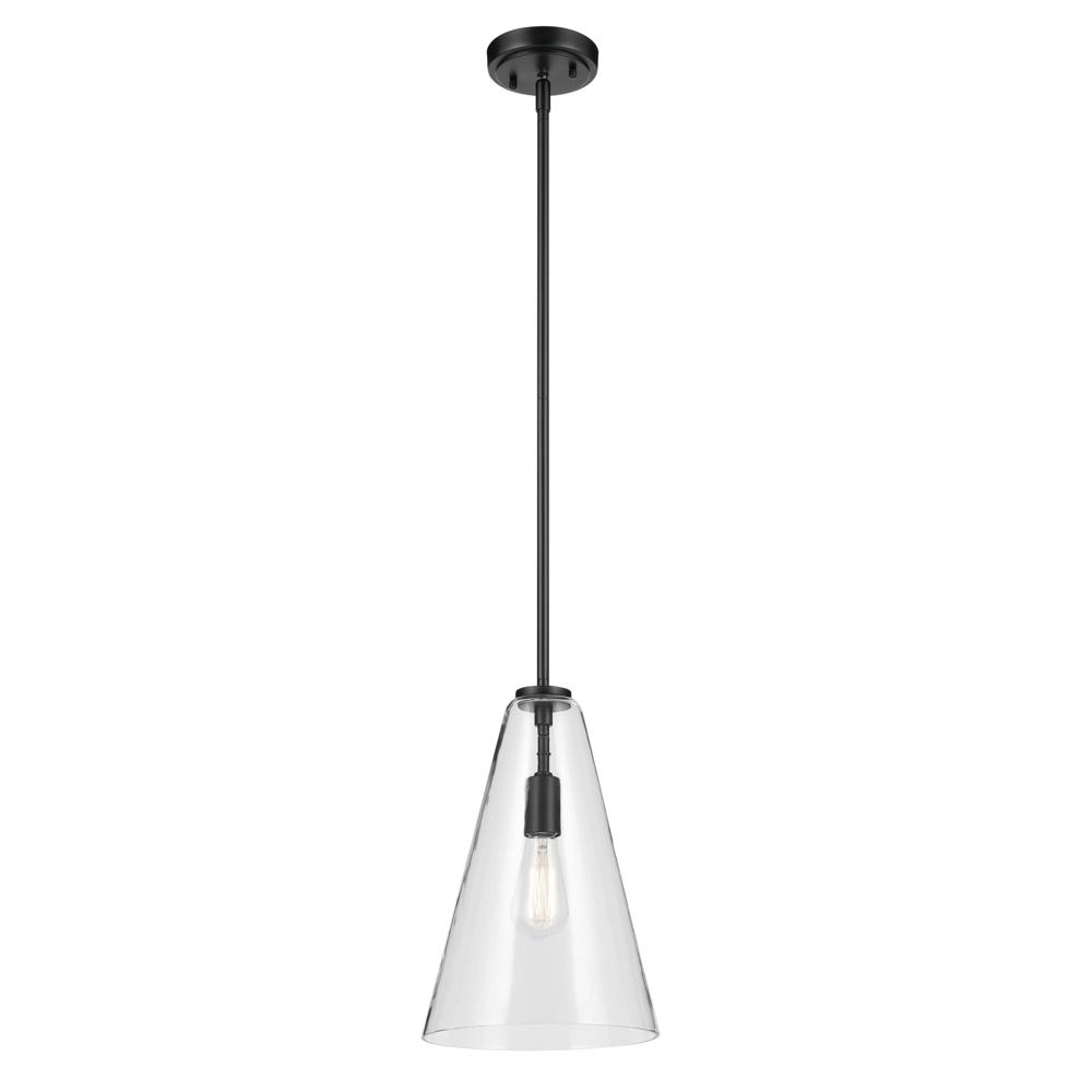 Everly 15.25" 1-Light Cone Pendant with Clear Glass in Black