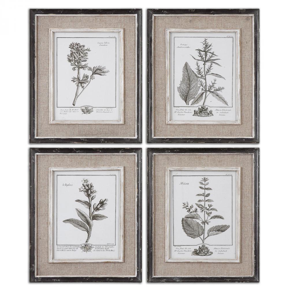 Uttermost Casual Grey Study Framed Prints, S/4