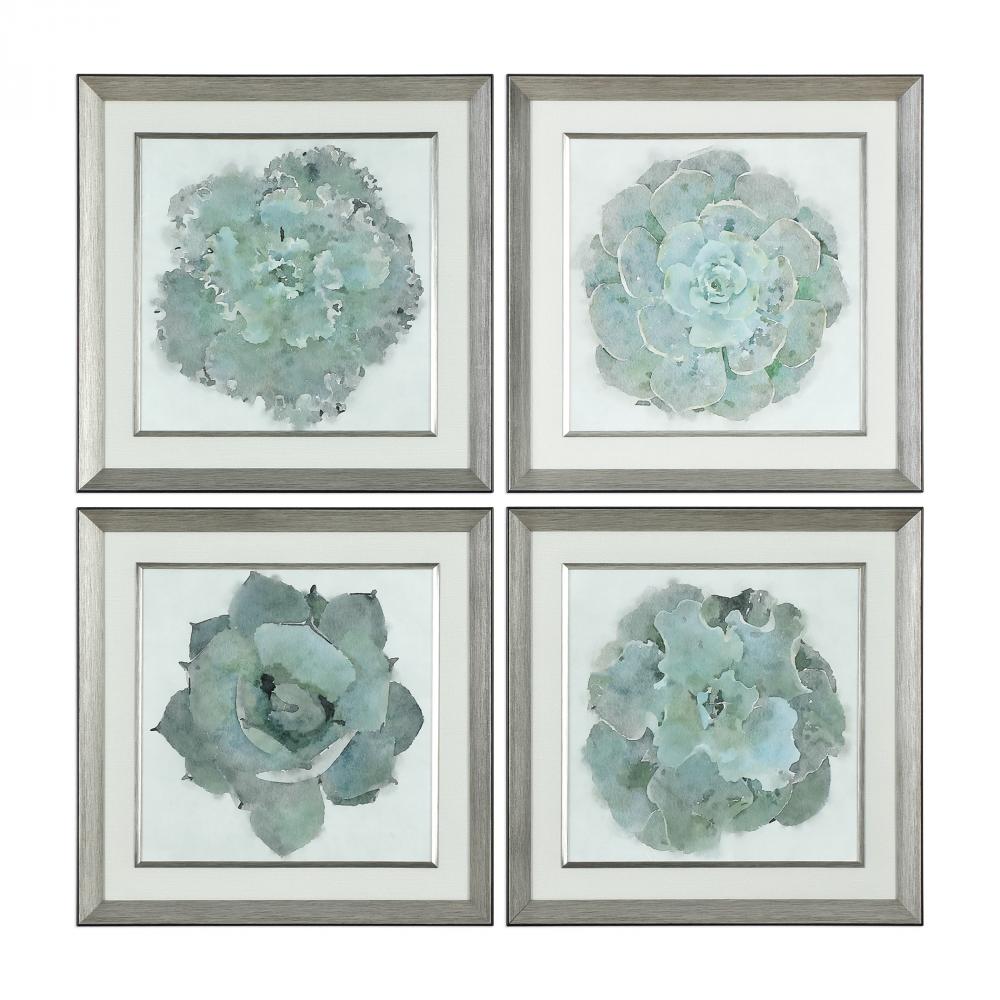 Uttermost Natural Beauties Framed Prints, S/4