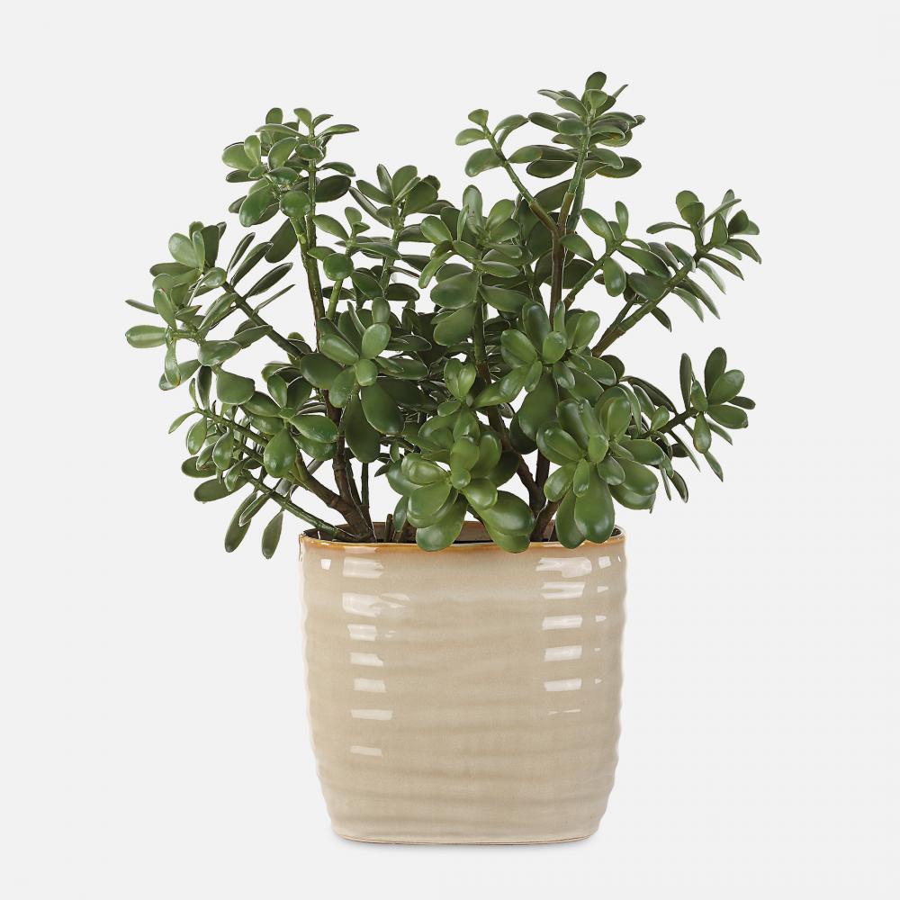 Uttermost Crassula Jade Accent