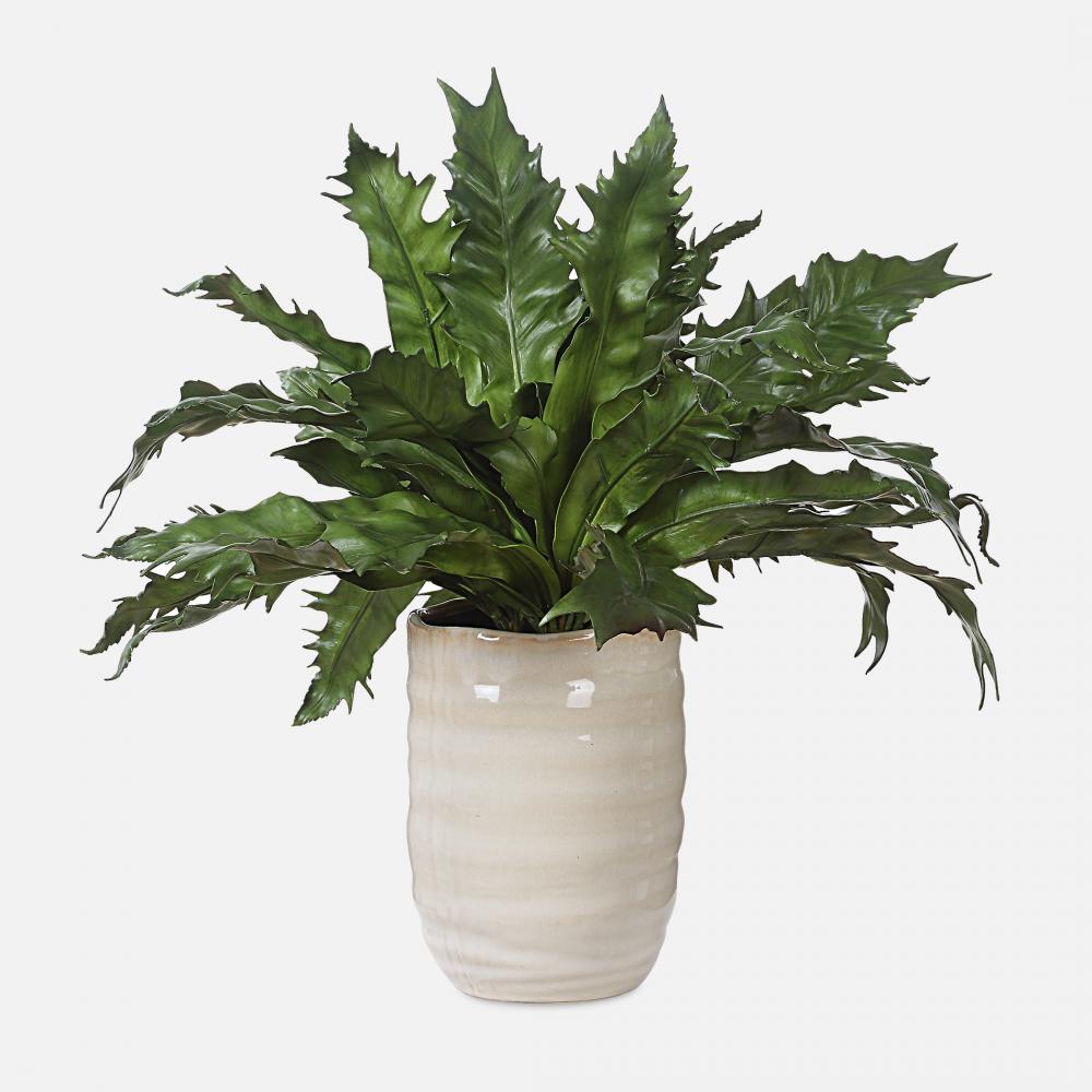 Uttermost Verdure Fern