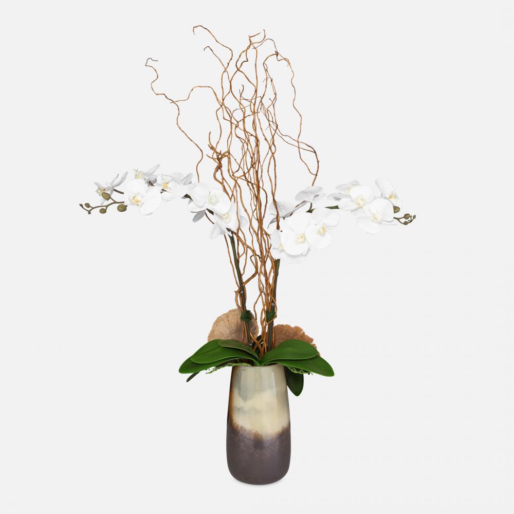 Uttermost Earthbound Orchid