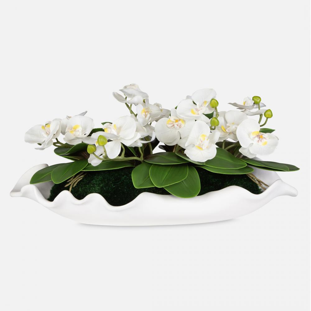 Uttermost Opulence Orchid