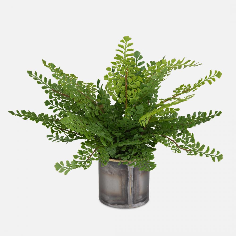 Uttermost Maidenhair Fern Accent