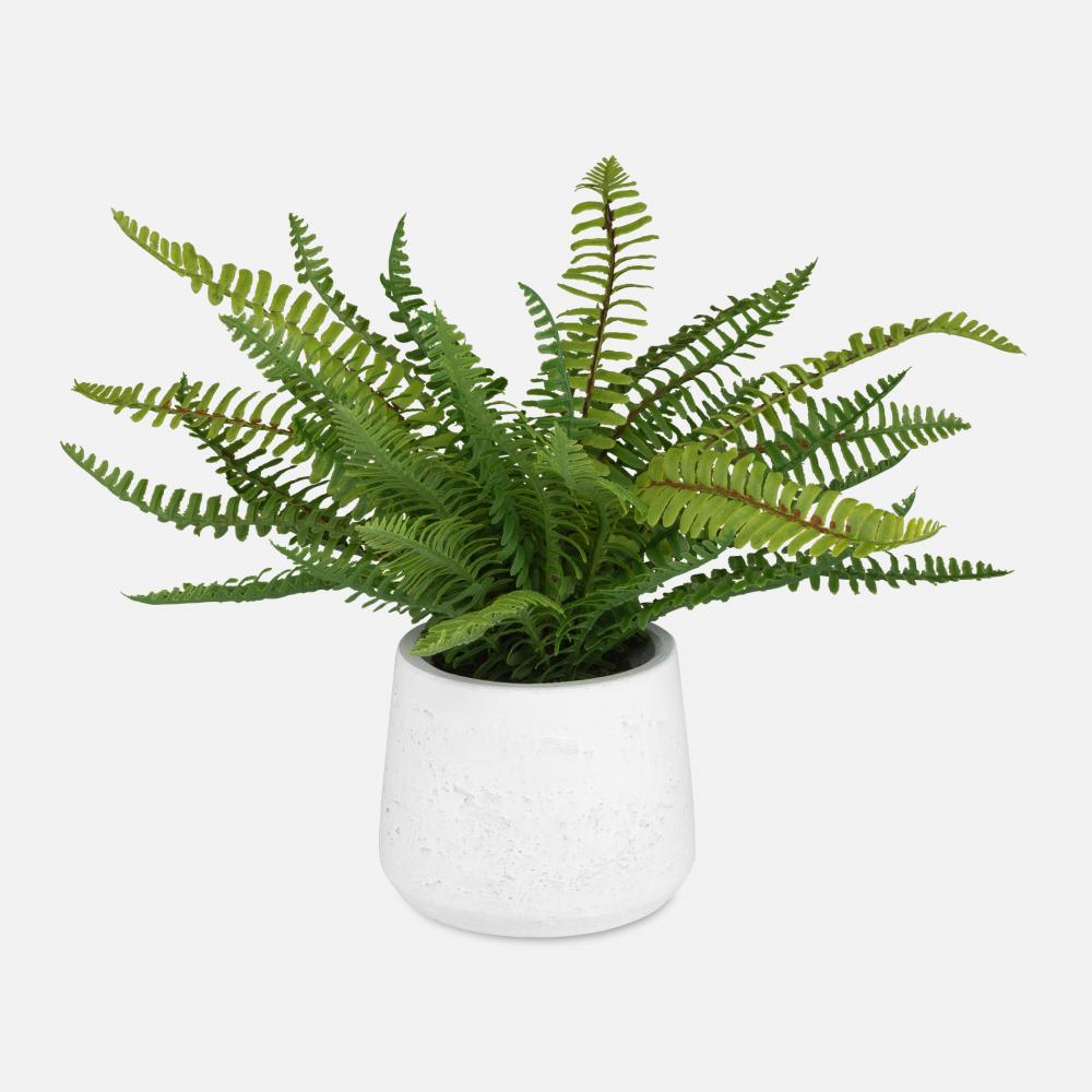 Uttermost Boston Fern Accent