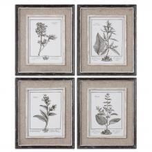 Uttermost 32510 - Uttermost Casual Grey Study Framed Prints, S/4