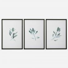 Uttermost 33723 - Uttermost Simple Sage Framed Prints, S/3