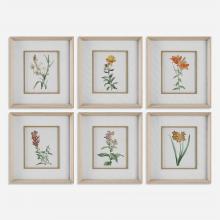 Uttermost 32284 - Classic Botanicals Framed Prints Set/6