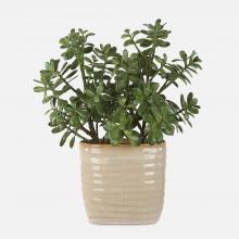 Uttermost 60226 - Uttermost Crassula Jade Accent