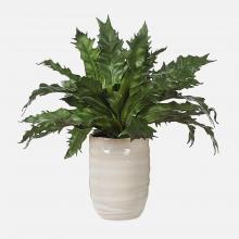 Uttermost 60229 - Uttermost Verdure Fern