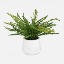 Uttermost 60238 - Uttermost Boston Fern Accent