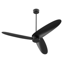 Ceiling Fans