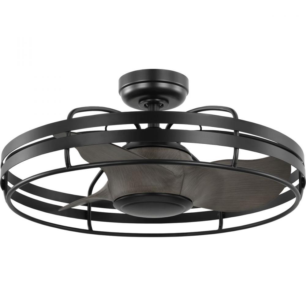 P250096-31M 3-BLADE CAGE FAN