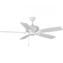 Ceiling Fans