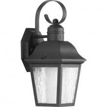 Progress P6619-31CD - Andover Collection Black One-Light Small Wall Lantern