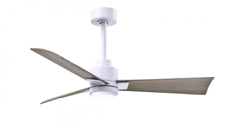 Alessandra 3-blade transitional ceiling fan in matte white finish with gray ash blades. Optimized