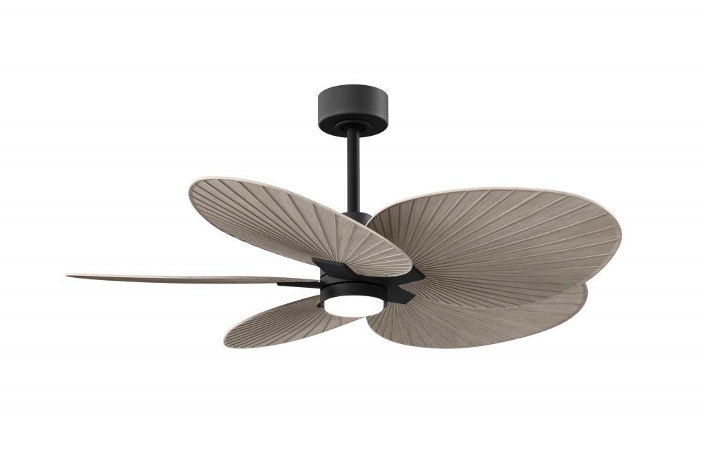 Alessandra Tropical 5-blade ceiling fan in Matte Black and Gray Ash Tone blades.