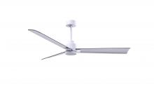 Matthews Fan Company AK-MWH-BN-56 - Alessandra 3-blade transitional ceiling fan in matte white finish with brushed nickel blades. Opti