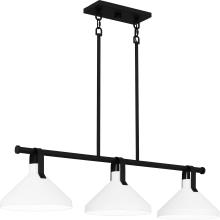 Quoizel BIK338MBK - Brink Island Chandelier