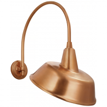 Visual Comfort & Co. Signature Collection TOB 2815SC/S4-SC - Academy 19.5" Arched Mack Barn Light