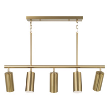Capital 861751AD - 40" W x 11.25" H 5-Light Adjustable Linear Chandelier in Aged Brass