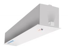 Acuity Brands IIS 125 CG NOBAT - Emergency Inverter, 125W output, Ceiling