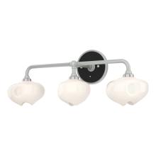 Hubbardton Forge 201342-SKT-82-10-FD0710 - Ume 3-Light Curved Arm Bath Sconce