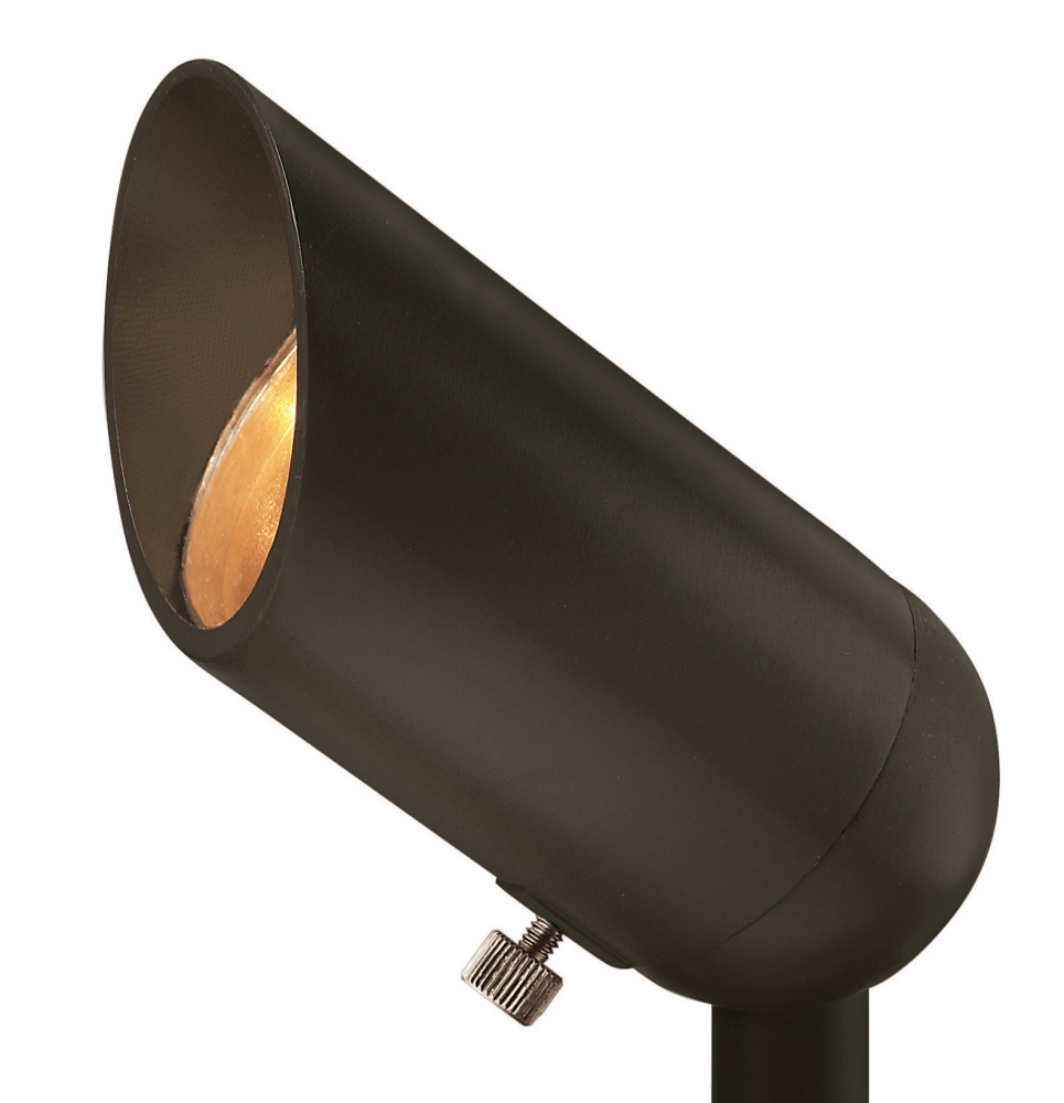 120V Variable Output LED 2700K