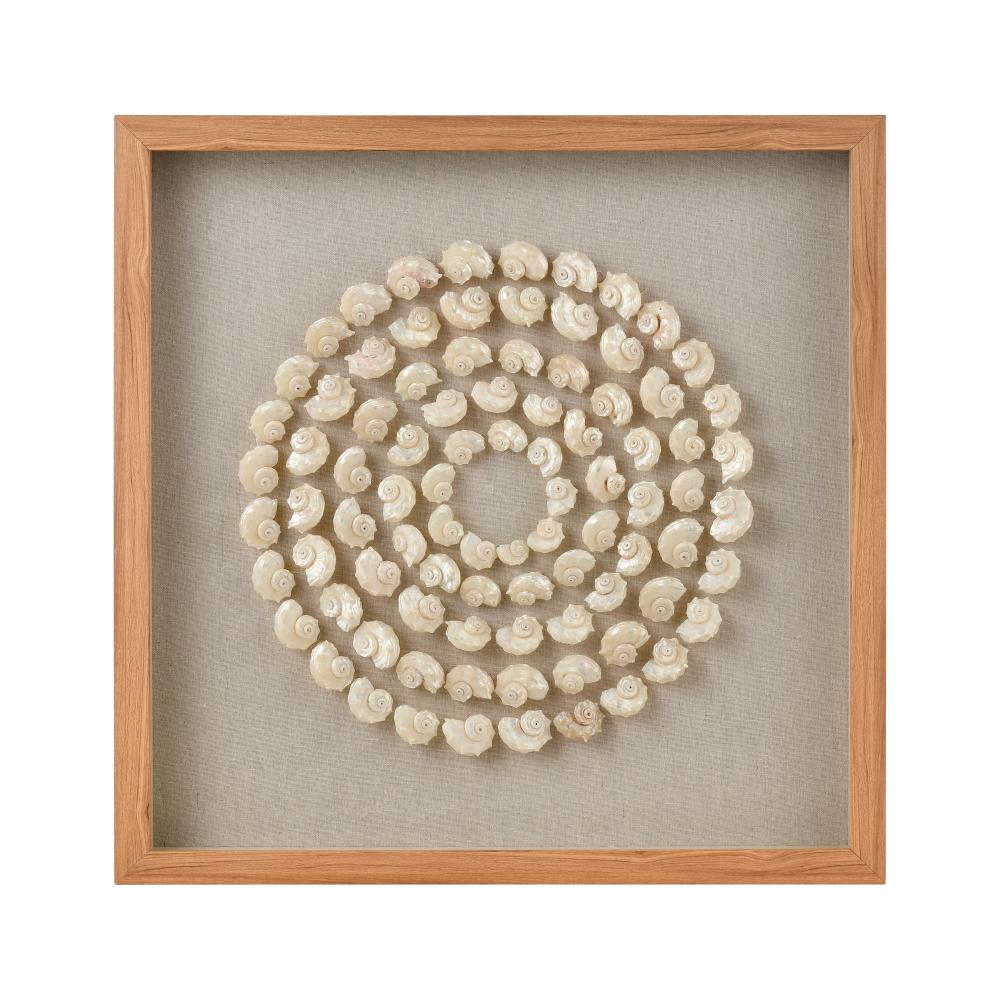 Concentric Shell Dimensional Wall Art